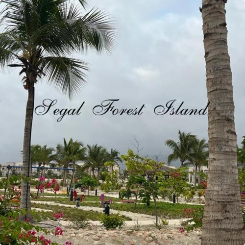 Segal Salalah-Forest Island-Hawana Buitenkant foto