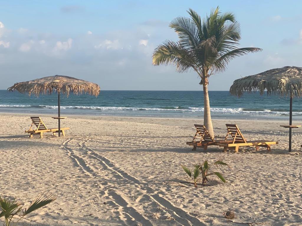 Segal Salalah-Forest Island-Hawana Buitenkant foto