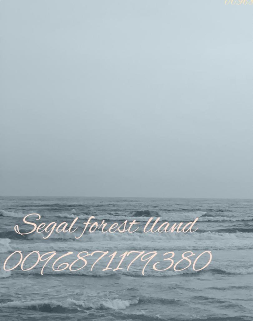 Segal Salalah-Forest Island-Hawana Buitenkant foto